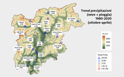 Trend precipitazioni (neve + pioggia) Trentino-Alto Adige 1980-2020