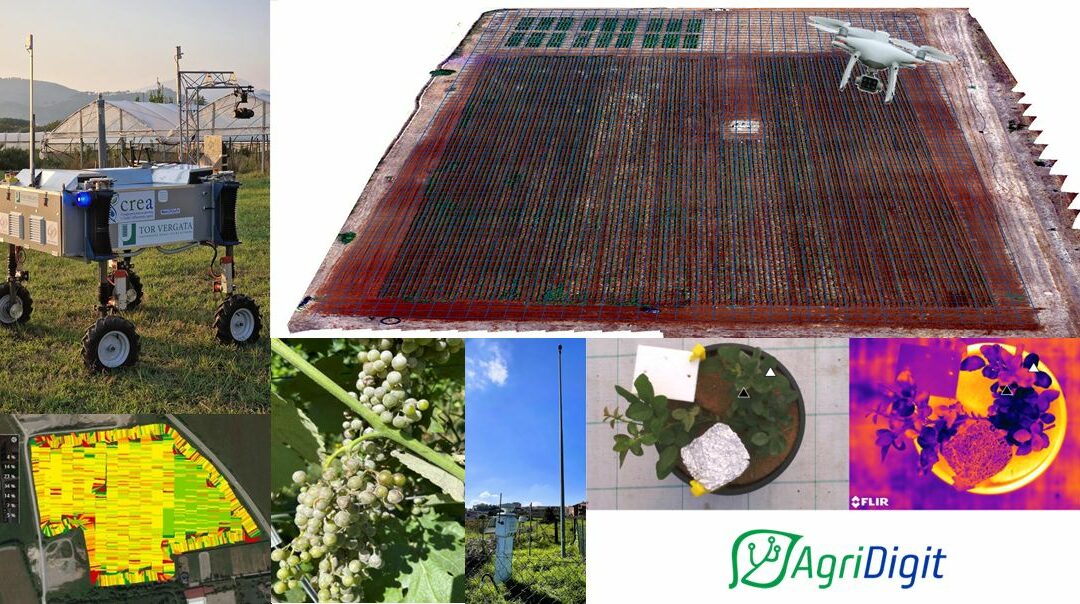 Agricoltura digitale: presentati dal CREA i risultati finali del progetto “AgroFiliere”