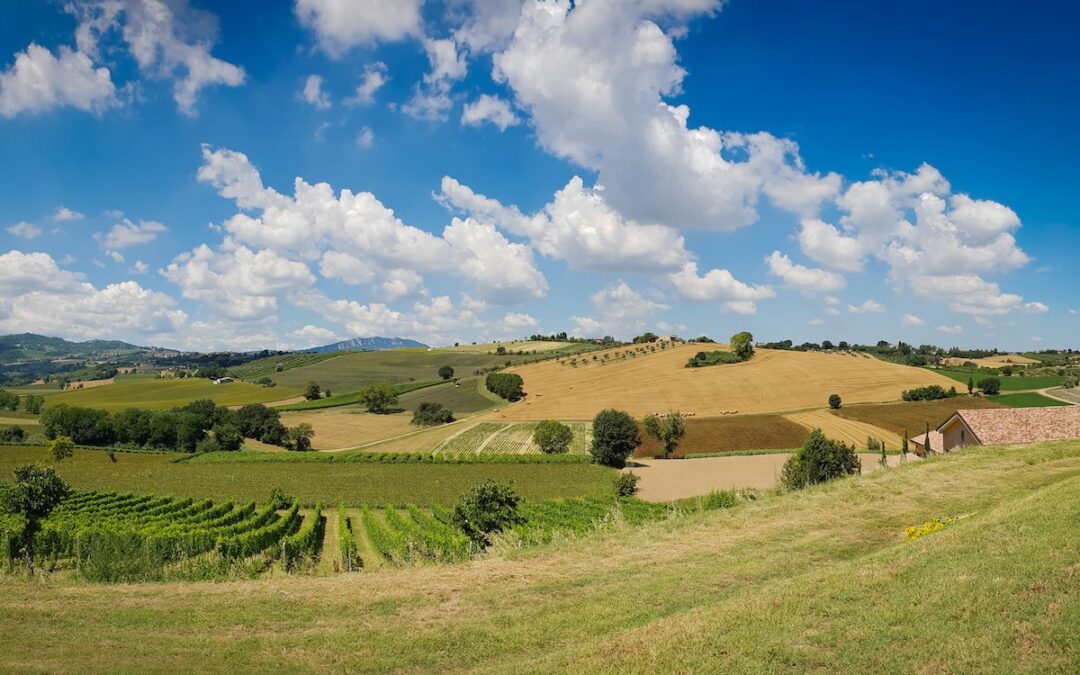 Annuario CREA 2023: agroalimentare si conferma settore chiave. Focus su sostenibilità: economica, ambientale e sociale