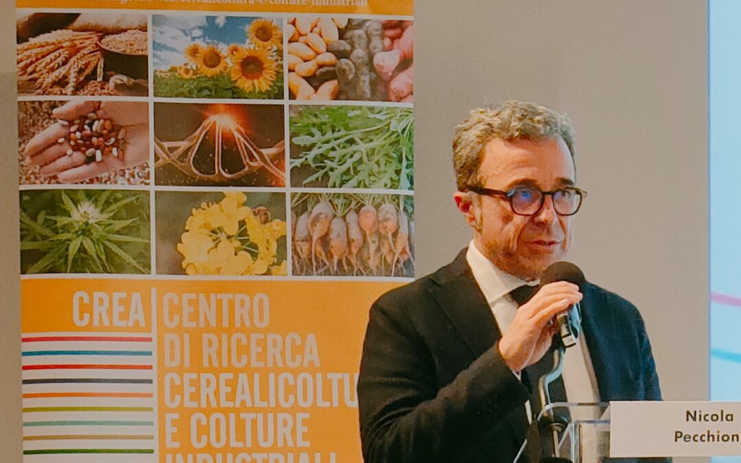 GIORNATA DEL MAIS 2025: l’impatto di ricerca e innovazione per l’adattamento ai nuovi scenari climatici