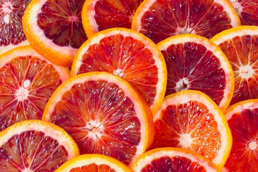 Agrumi: svelata l’origine e la diversificazione delle arance rosse. Individuati marcatori per la tracciabilità di Moro e Tarocco